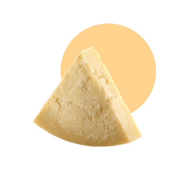 Creamy tasty cheese